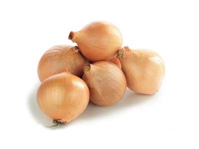 Løg 80-100 cm - 10 kg