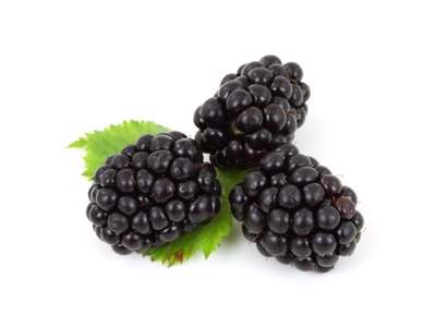 Brombær (Friske) - pr bakke