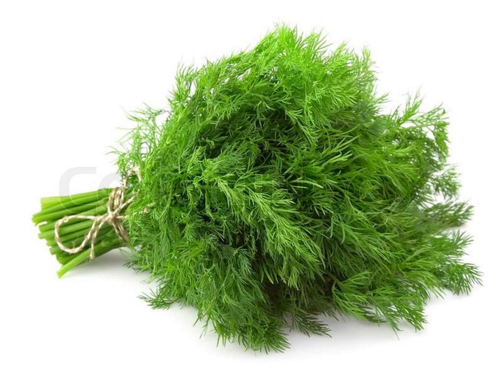 Dild (Frisk) - pr bundt