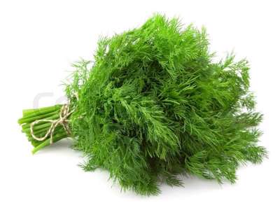 Dild (Frisk) - pr bundt