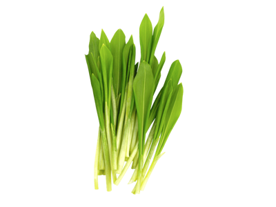 Ramsløg (Frisk) - pr bundt