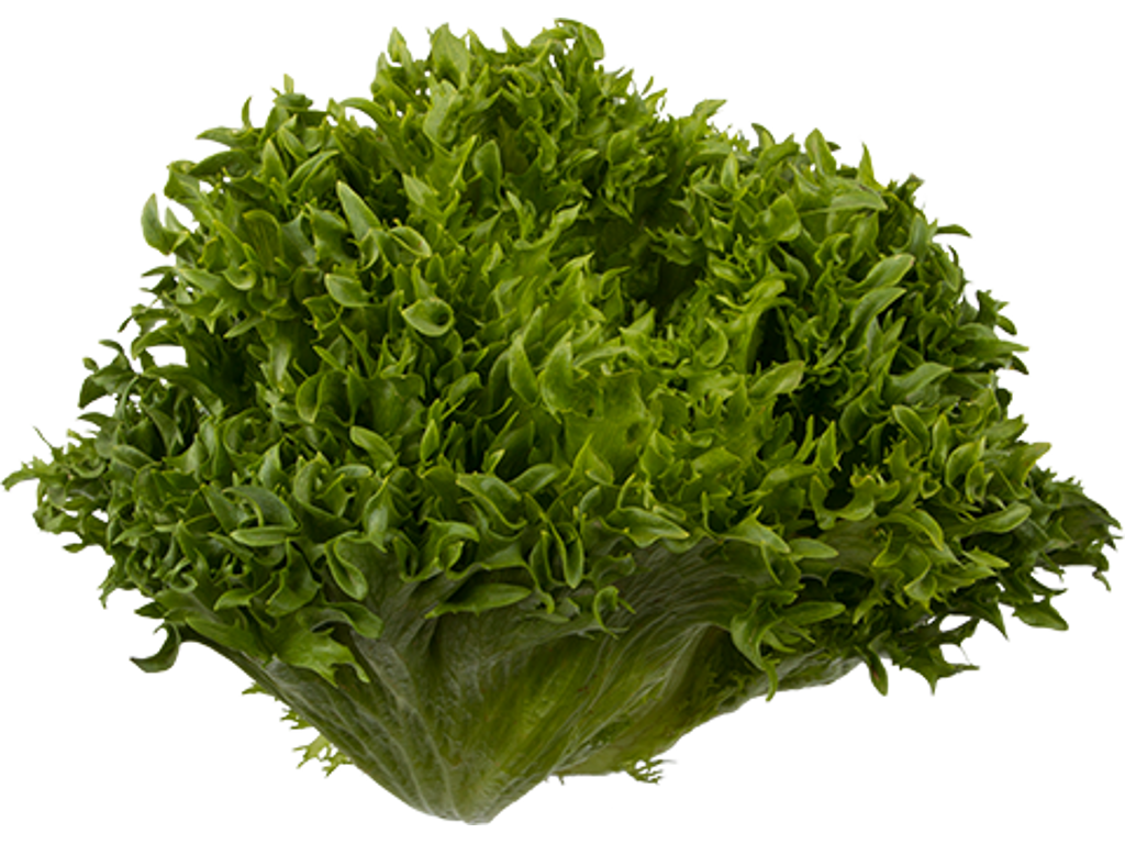 Frillice Salat - pr kasse