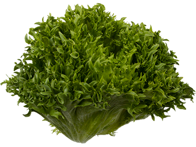 Frillice Salat - pr kasse