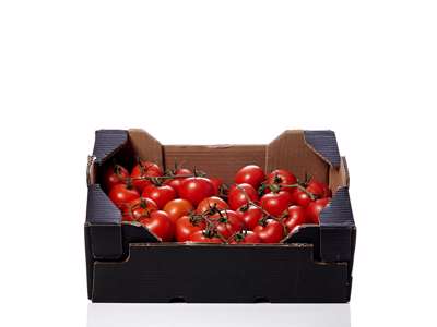 Tomater (Stilk) - 5 kg