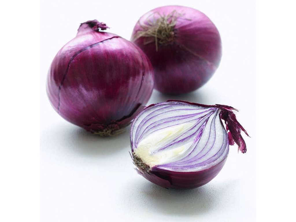 Rødløg (8-10cm) - 10 kg