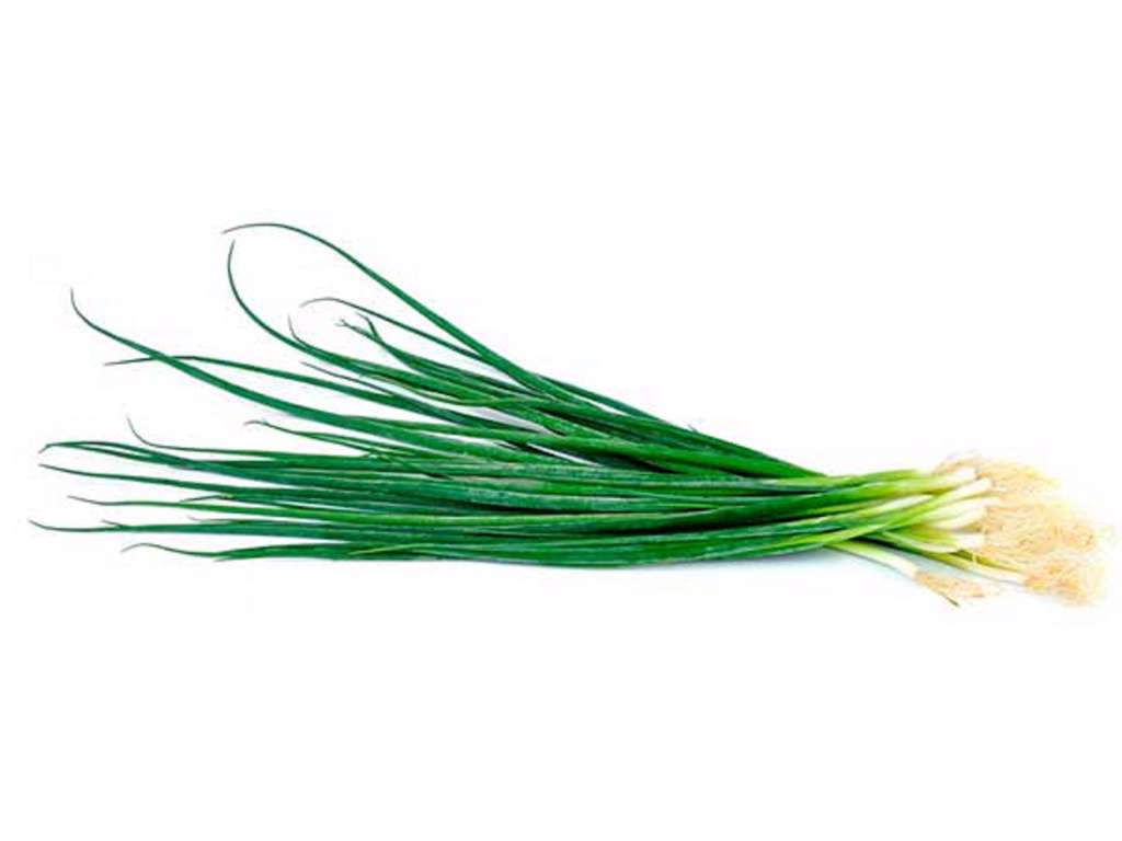 Purløg (Frisk) - pr bakke