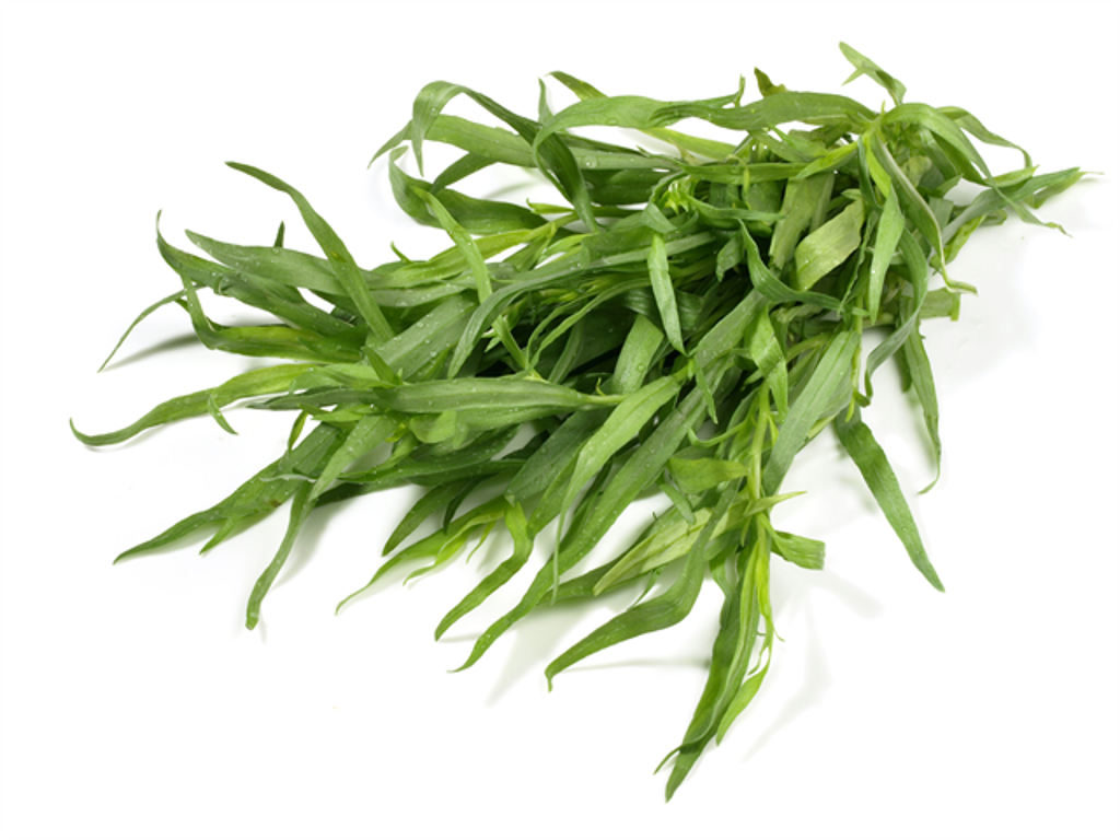 Estragon (Frisk) - pr bakke