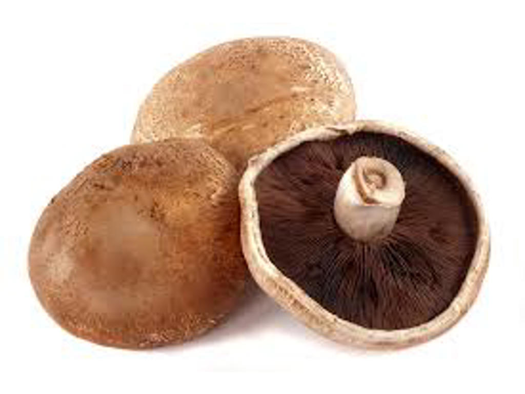 Portobello Champignon - 1,5 kg