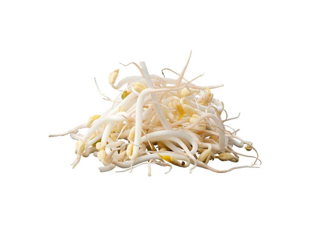 Bønnespirer Øko - 1 kg