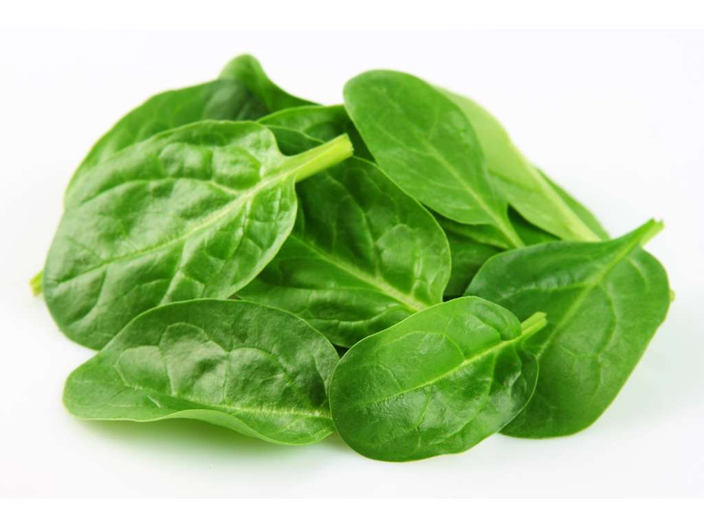 Baby Spinat (Frisk) - 500 g