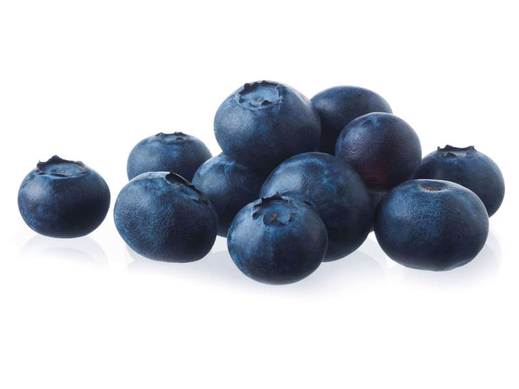 Blåbær (Friske) - pr bakke