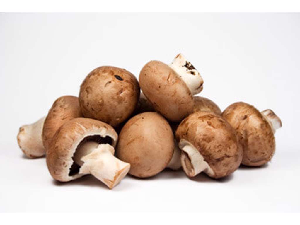 Mark Champignon - pr kasse