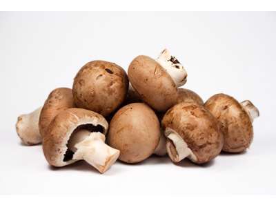 Mark Champignon - pr kasse