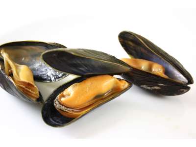 Blå Muslinger i Skal (Frost) - 1 kg