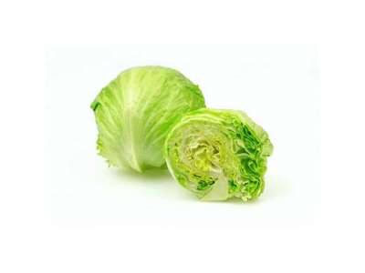 Iceberg Salat - 10 stk