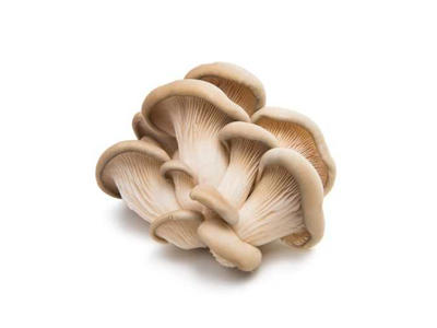 Østershatte - pr kasse