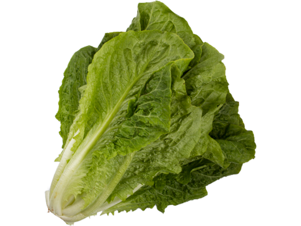 Romana Salat . pr kasse