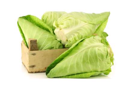 Spidskål - pr kasse